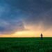 Reprogramming The Panic: Selecting Aware Response Over Avoidance