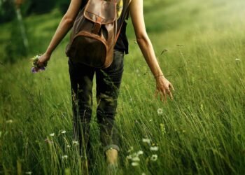 6 Methods to Get pleasure from Aware Strolling