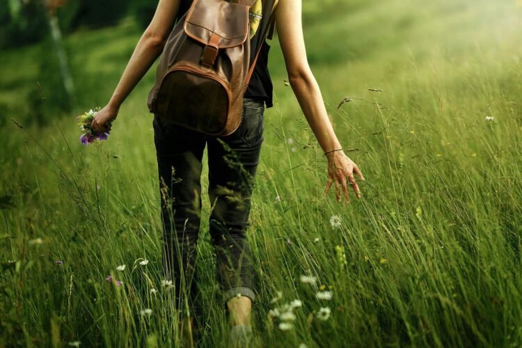 6 Methods to Get pleasure from Aware Strolling