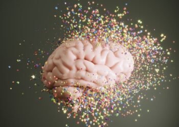 What a Neuroscientist Eats in a Day for Cognitive Well being