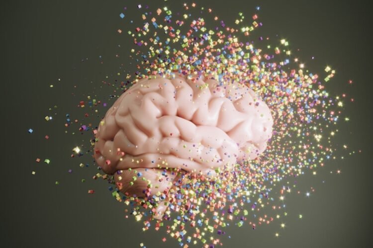 What a Neuroscientist Eats in a Day for Cognitive Well being
