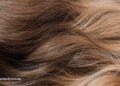 What Meals Assist Hair Development?