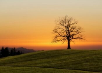 5 Habits of Happiness 90 Years of Knowledge Taught Me to Respect
