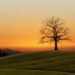5 Habits of Happiness 90 Years of Knowledge Taught Me to Respect