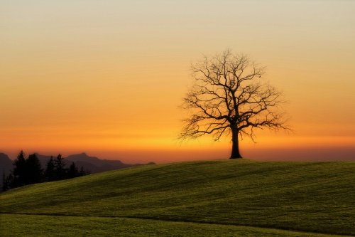 5 Habits of Happiness 90 Years of Knowledge Taught Me to Respect