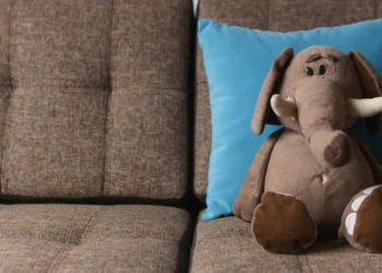 The Elephant on the Sofa