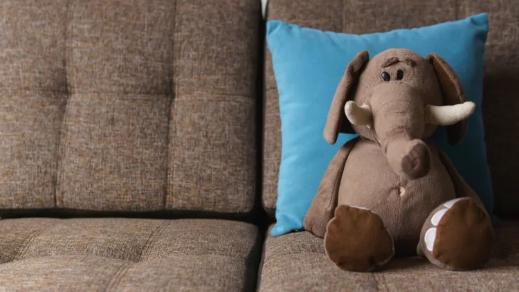The Elephant on the Sofa