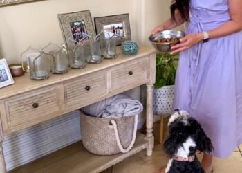 Wholesome do-it-yourself pet food recipe