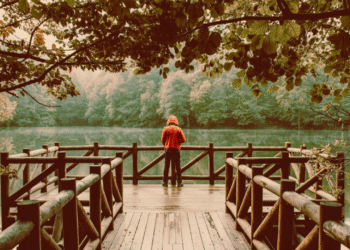 Gratitude With out Bypassing: Tips on how to Be Grateful and Nonetheless Honor What Hurts
