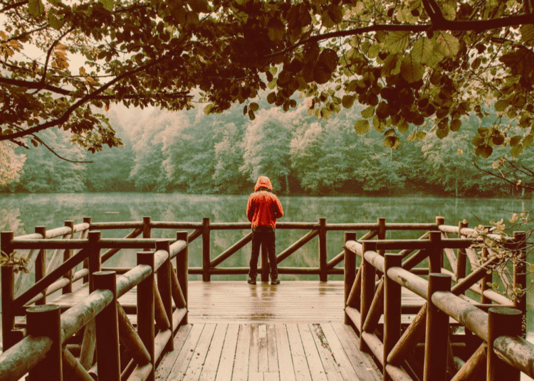 Gratitude With out Bypassing: Tips on how to Be Grateful and Nonetheless Honor What Hurts