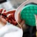 Earlier than Fidget Toys, There Have been Beads: The Newest Craze is A part of a Lengthy Custom of Retaining Your Palms Busy