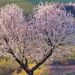 Advantages of Self-Compassion