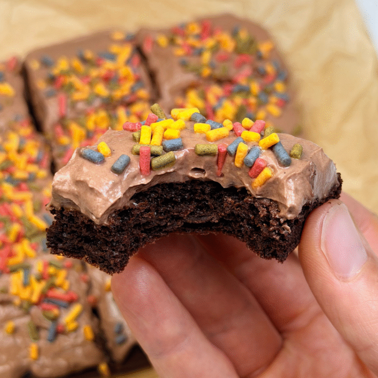 Carnivore Cosmic Brownies [high-protein + sugar-free] • Wholesome Helper
