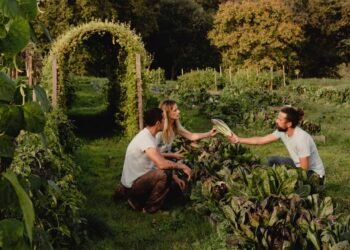 ‘We like breaking the principles’: the novel farm that yields outcomes