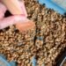 Protein Granola Recipe • Kath Eats