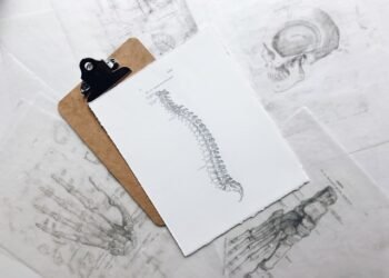 How Chiropractic Care Suits Into A Wholesome Way of life