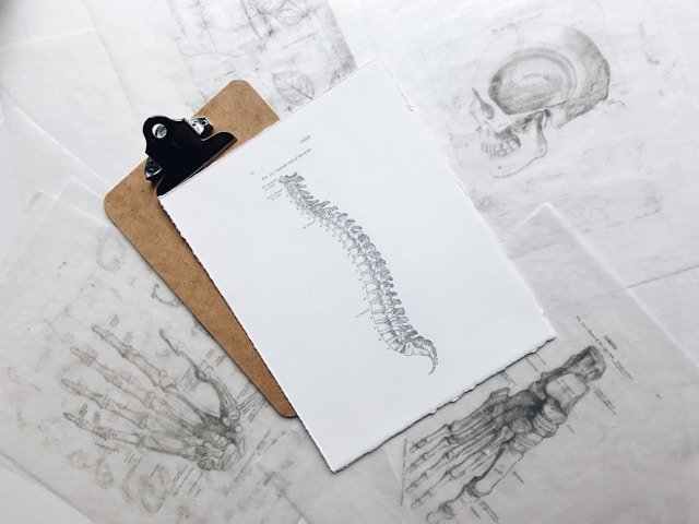 How Chiropractic Care Suits Into A Wholesome Way of life