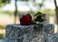 101 Loss of life Quotes That Will Make You Assume In a different way About Life, Loss and That means