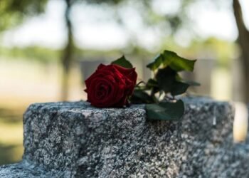 101 Loss of life Quotes That Will Make You Assume In a different way About Life, Loss and That means