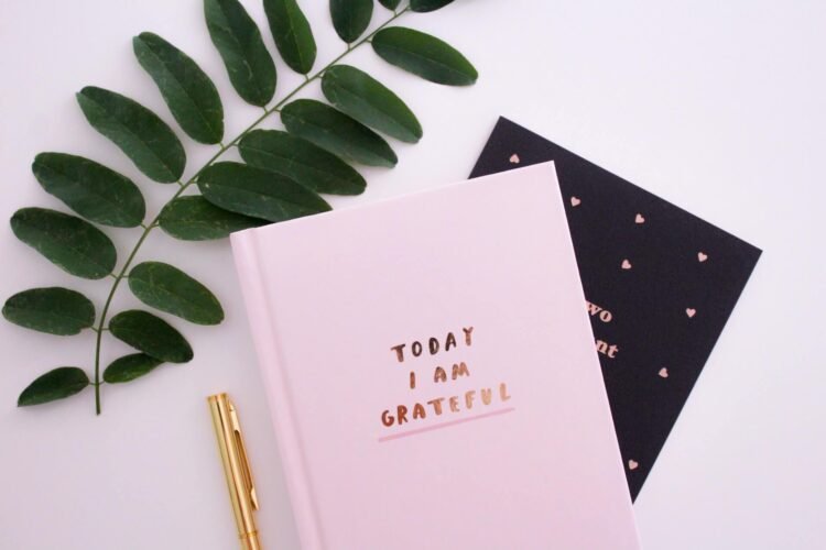 10 Easy Causes You Must Begin a Gratitude Journal