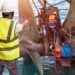 Inside The Security Class That Takes 2 Days Ensuing In $30 an Hour Shipyard Jobs