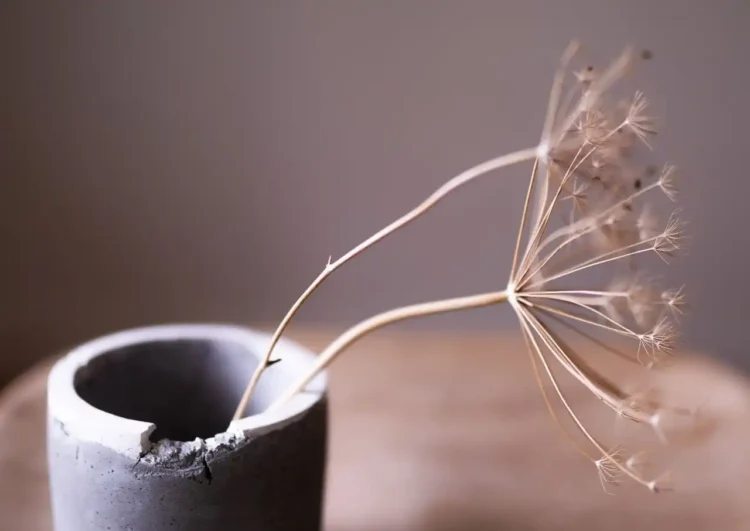 Your Errors Don’t Outline You: 8 Necessary Classes to Study