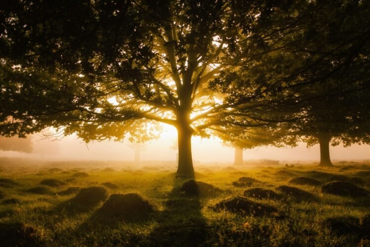 18 Real Methods to Encourage Everybody Round You