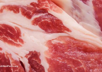The Meat Papers Contradicted Their Personal Knowledge