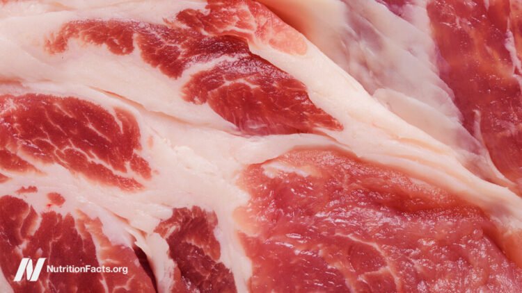 The Meat Papers Contradicted Their Personal Knowledge