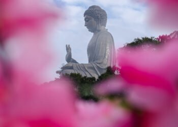 Management, Wellbeing, Resilience – Be Right here Now Community 2026
