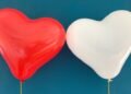 Select To Love – Rick Hanson, PhD
