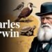 Sensible Minds of Historical past: Charles Darwin