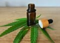 How UK CBD Guidelines Differ From Canada’s Market