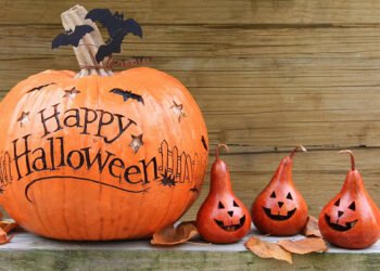 Humorous, Quick and Spooky Sayings