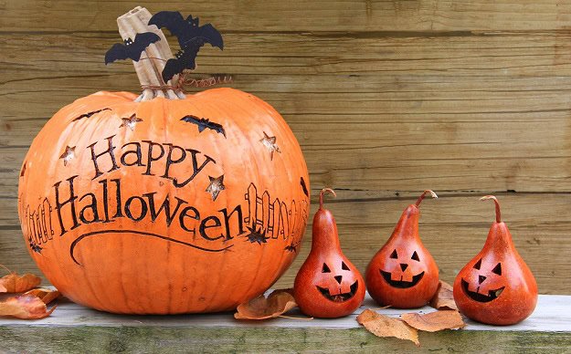 Humorous, Quick and Spooky Sayings