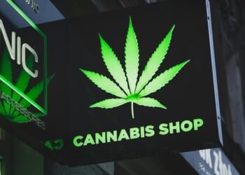 Understanding the psychological well being dangers linked with hashish use