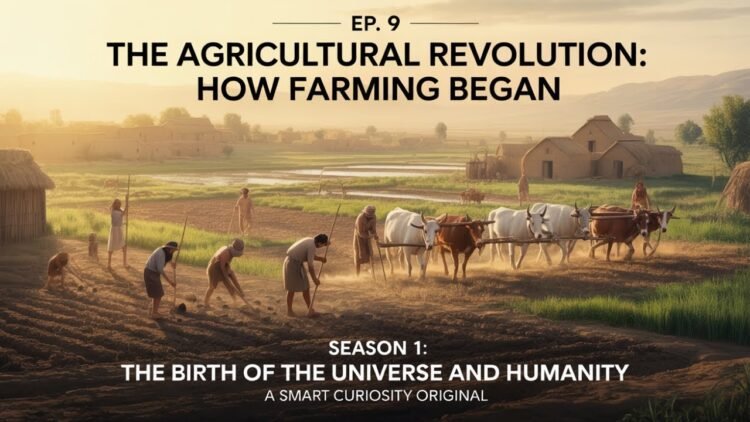 EP. 9 – The Agricultural Revolution: How Farming Started