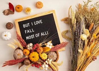 101 Fall Letter Board Quotes for Cute, Cozy and Lovely Autumn Vibes