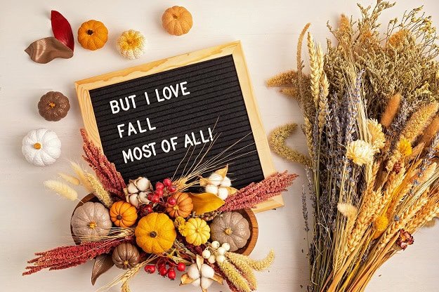 101 Fall Letter Board Quotes for Cute, Cozy and Lovely Autumn Vibes