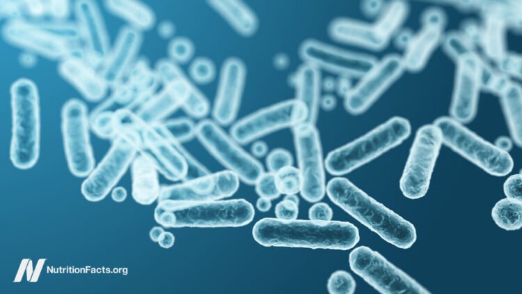 Feeding Our Intestine Microbiome for Higher Well being