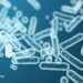 Feeding Our Intestine Microbiome for Higher Well being