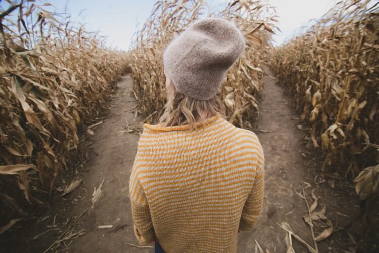40 Calming Quotes to Convey You Readability When You’re at a Crossroads in Life