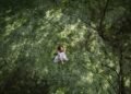 Why Is Nature So Good for Your Psychological Well being?