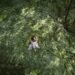 Why Is Nature So Good for Your Psychological Well being?