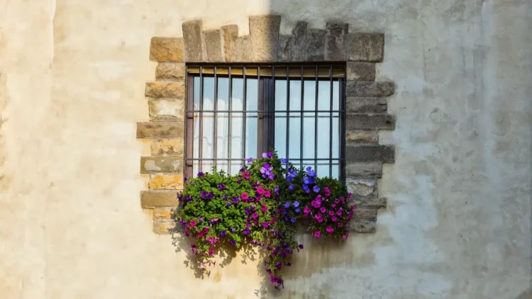 Gratitude When Life Is Heavy vs. When Life Is Good