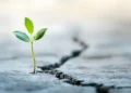 Methods to Begin Over in Life, One Small Step at a Time |