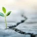 Methods to Begin Over in Life, One Small Step at a Time |