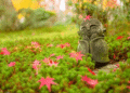Backyard Meditation: A Easy Out of doors Apply for Presence and Awe