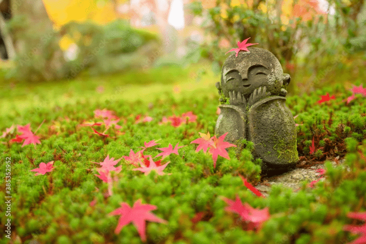 Backyard Meditation: A Easy Out of doors Apply for Presence and Awe