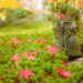 Backyard Meditation: A Easy Out of doors Apply for Presence and Awe